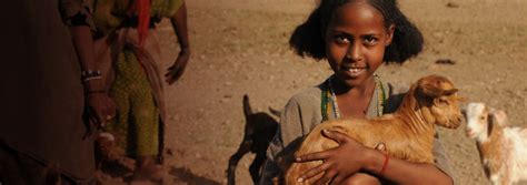 give a goat in africa|Donate a goat .